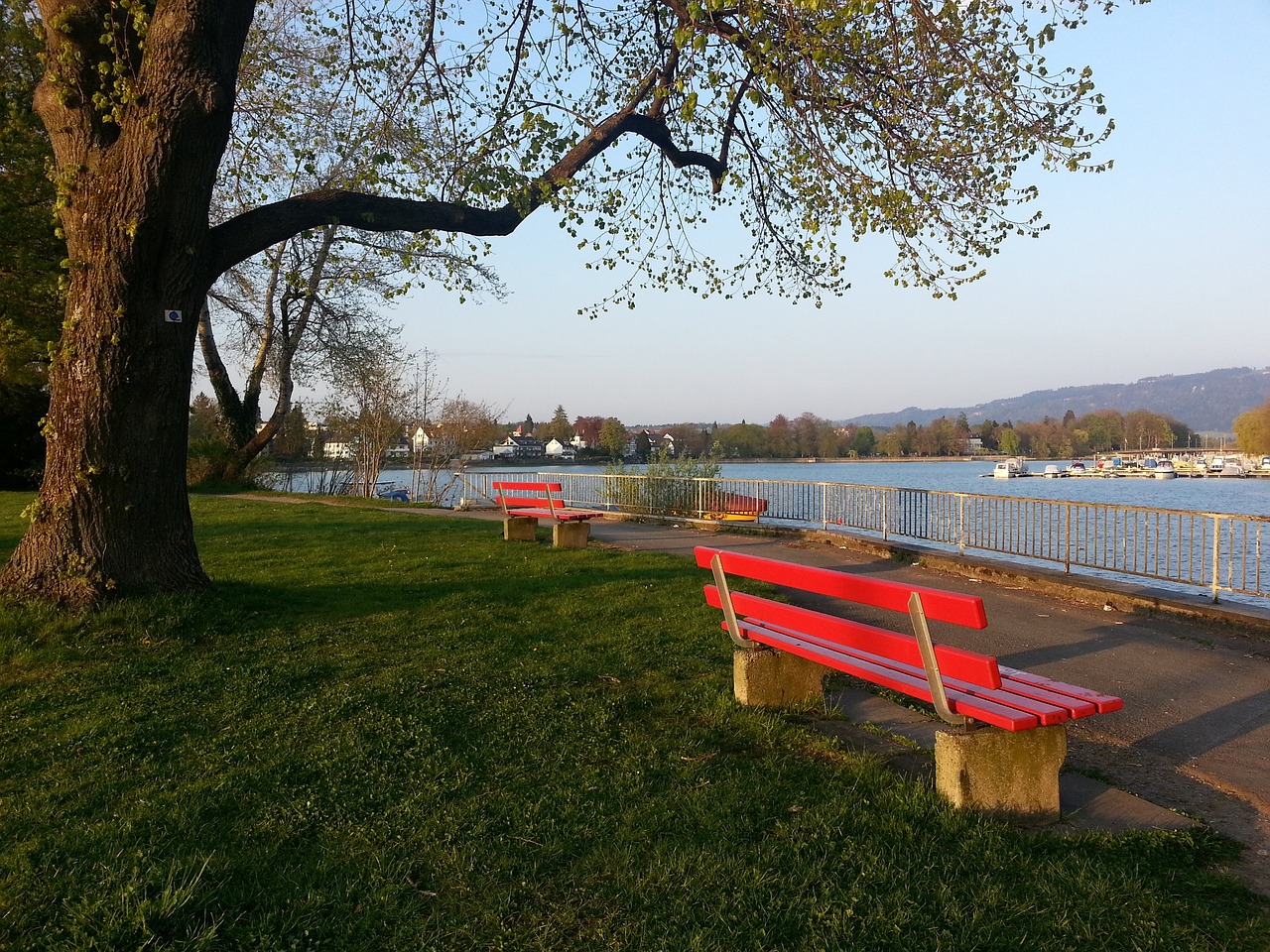 支球队目前 支球队目前