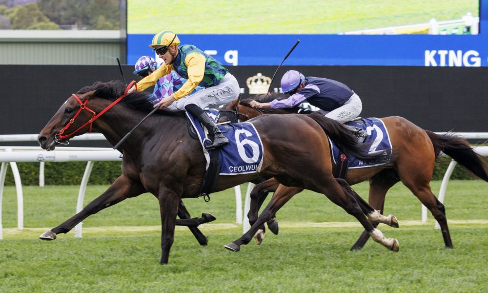 詹金斯是一 詹金斯是一